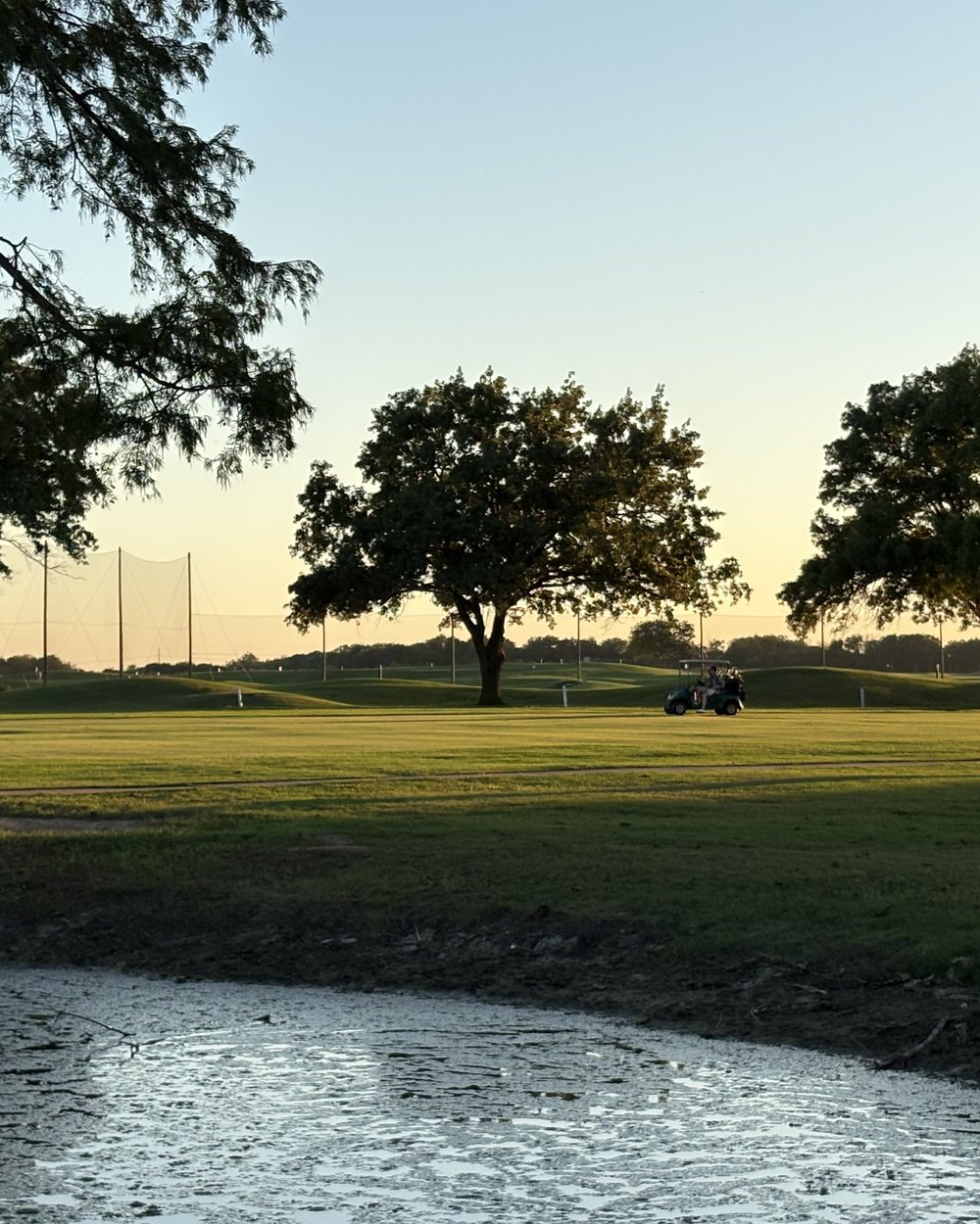 Live oaks reflected in a pond at sunset at Jimmy Clay Golf Course