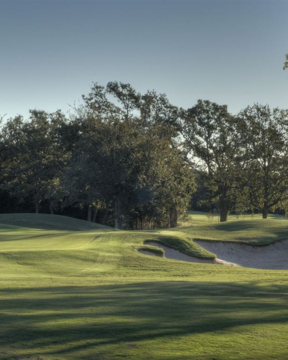 Oaks and a bunker in late light at Grey Rock Golf Club