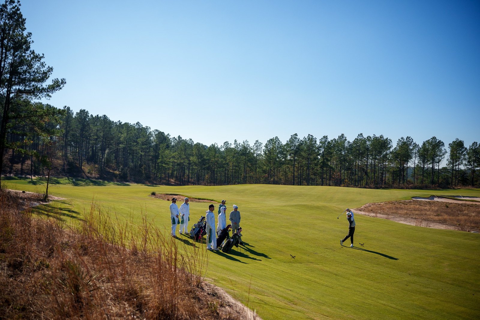 Golfers and caddies walking a fairway through the pines at Wild Spring Dunes