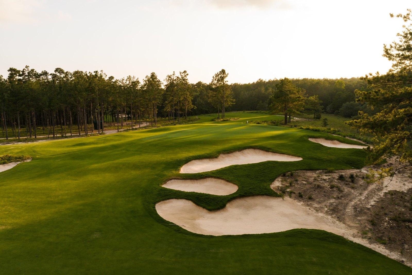 Wild Spring Dunes &middot; view 2 of 5