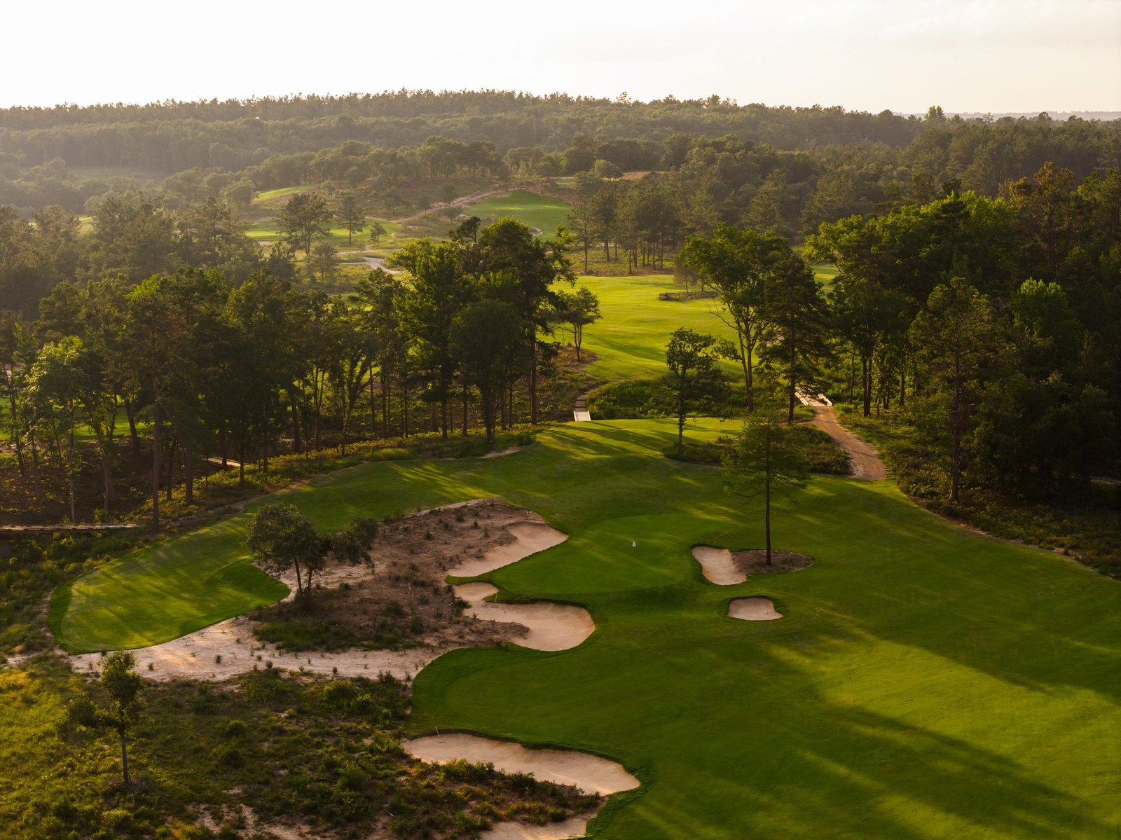 Wild Spring Dunes &middot; view 4 of 5