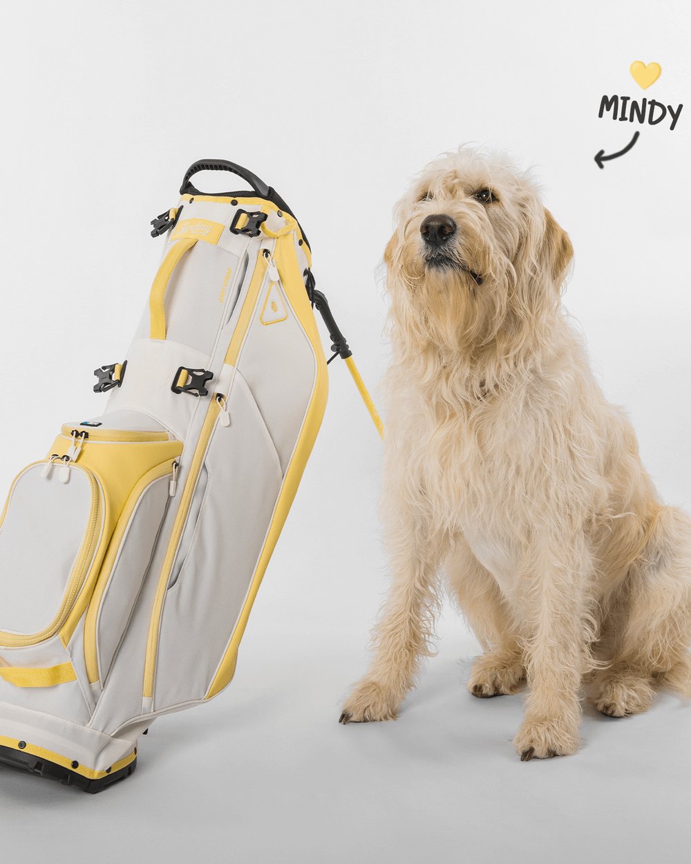 A shaggy dog named Mindy sitting next to a white and yellow Sunday Golf stand bag