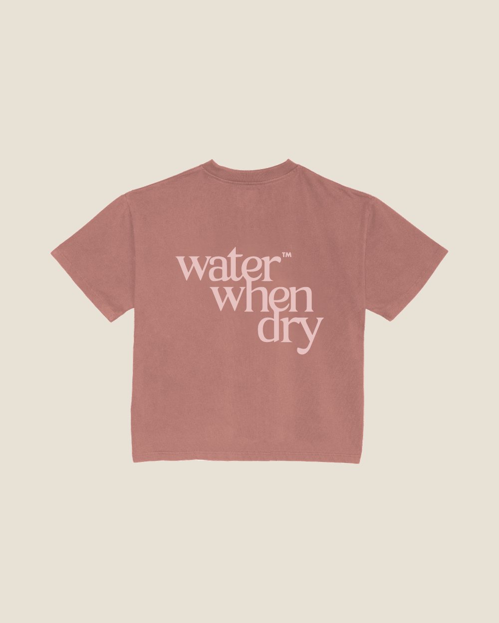 water when dry Logo Tee, Rose Clay · view 2 of 3