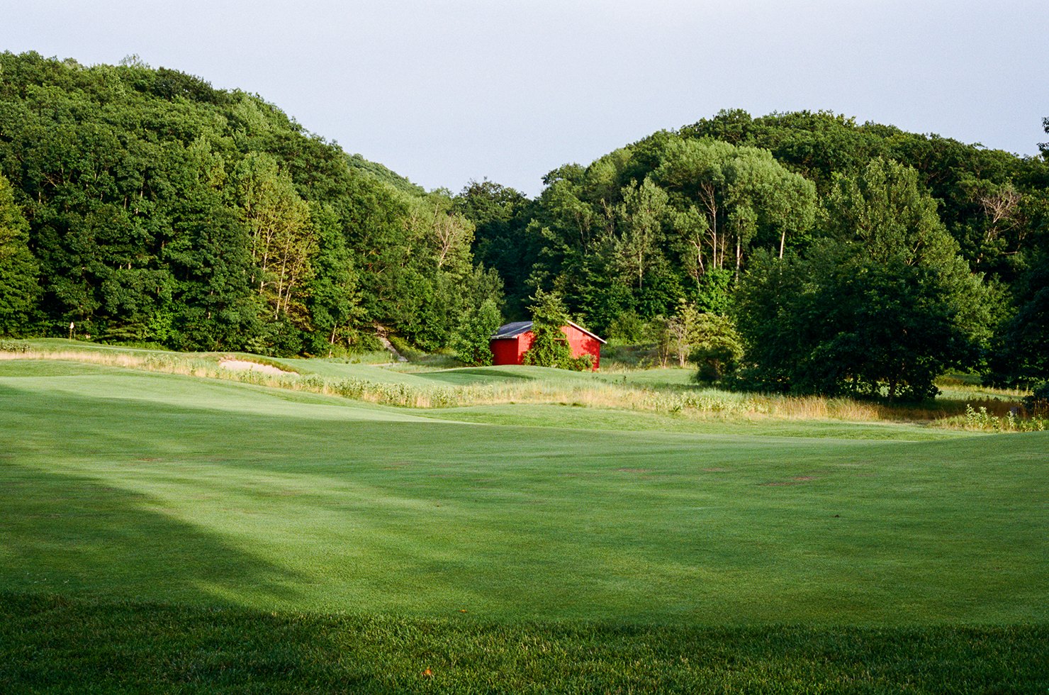 A green fairway and tree line from Whim's founding golf camping trip in Michigan