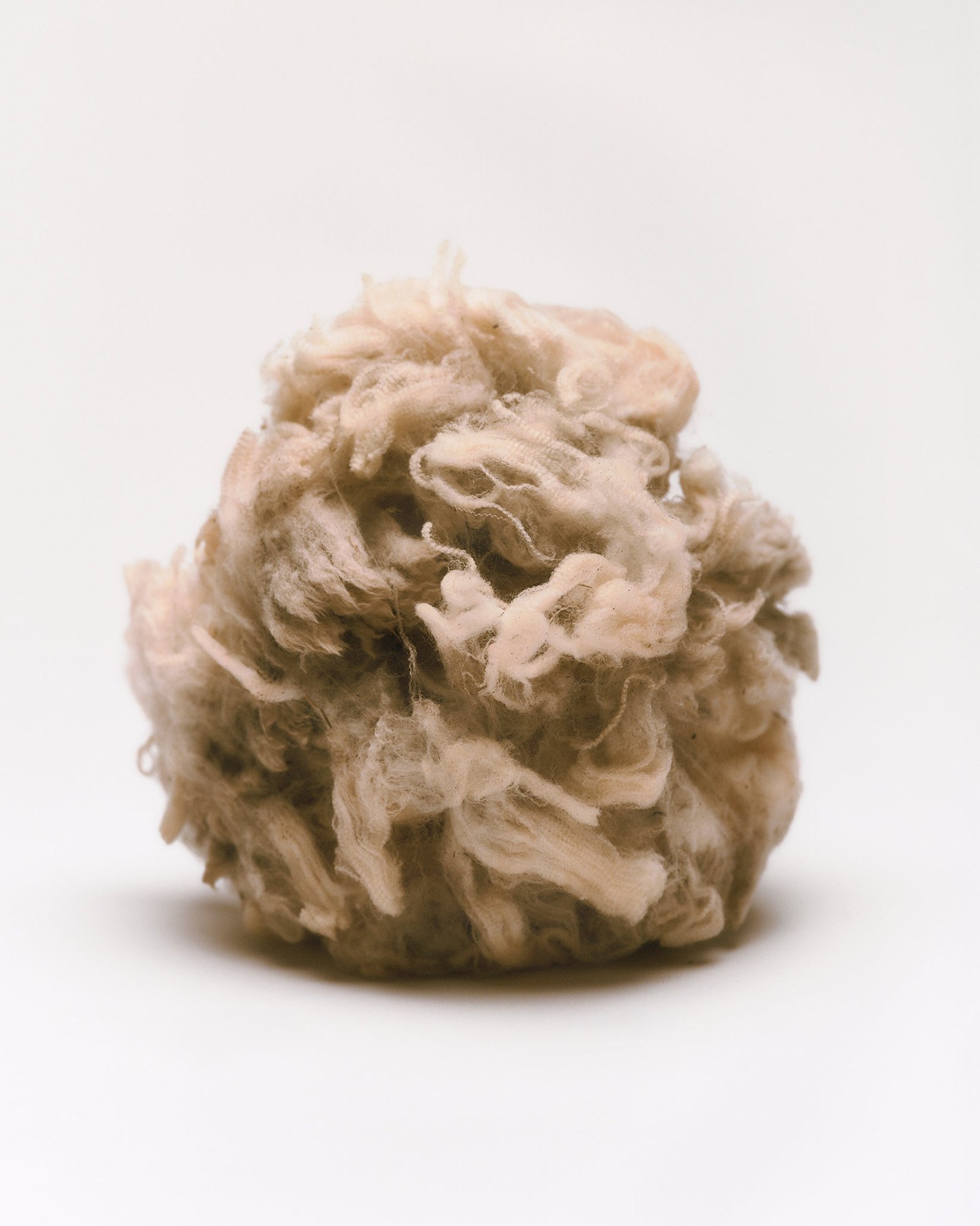 A tuft of uncombed American merino wool on a white background