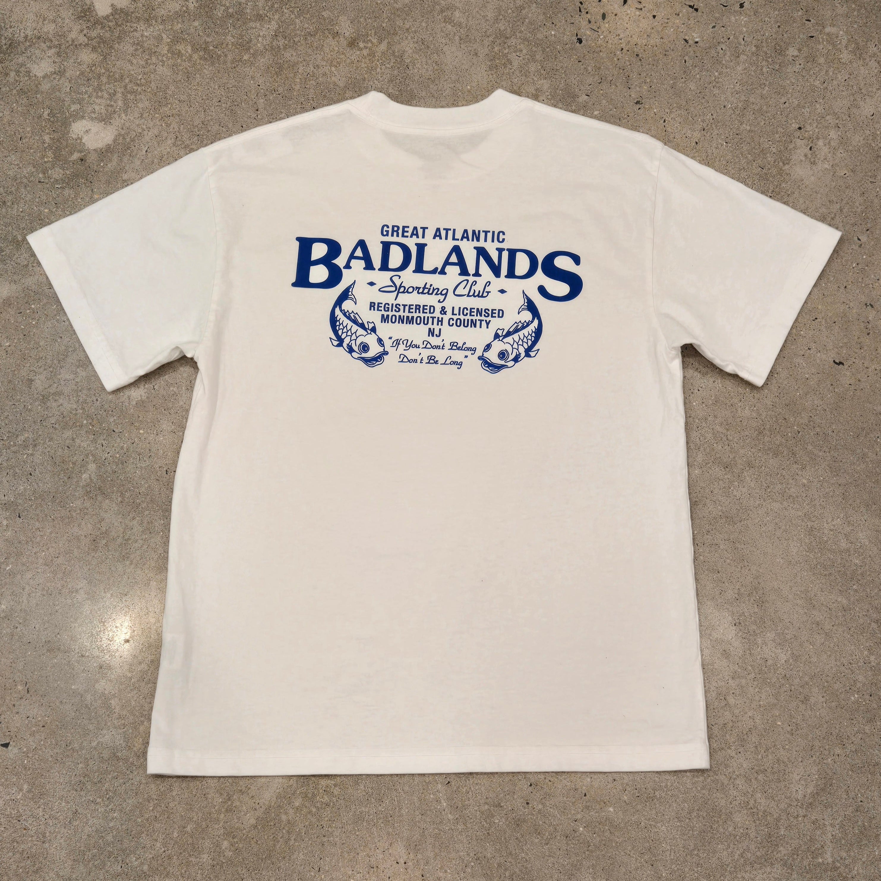 Badlands Great Atlantic t-shirt in white and blue · view 1 of 3