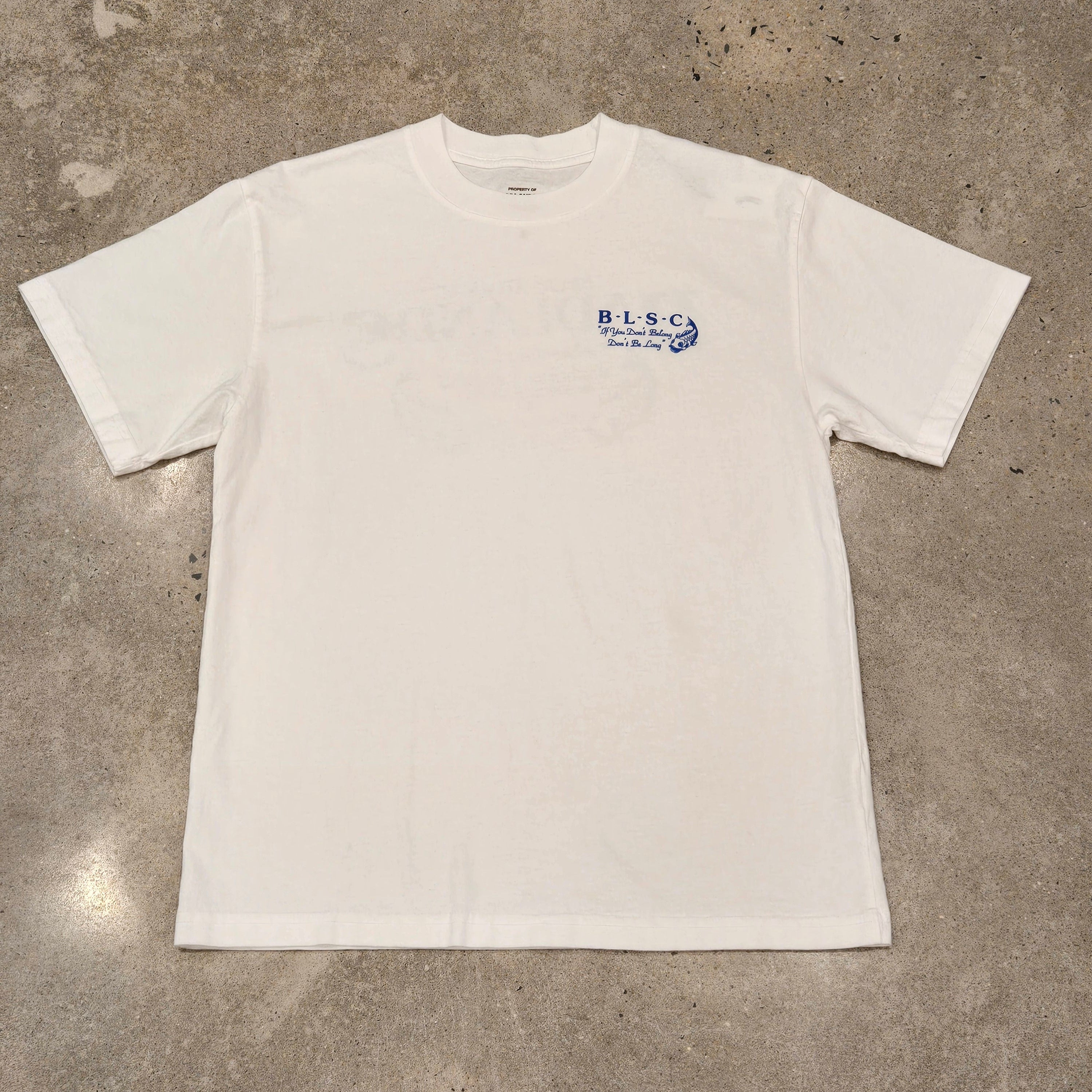 Badlands Great Atlantic t-shirt in white and blue · view 2 of 3