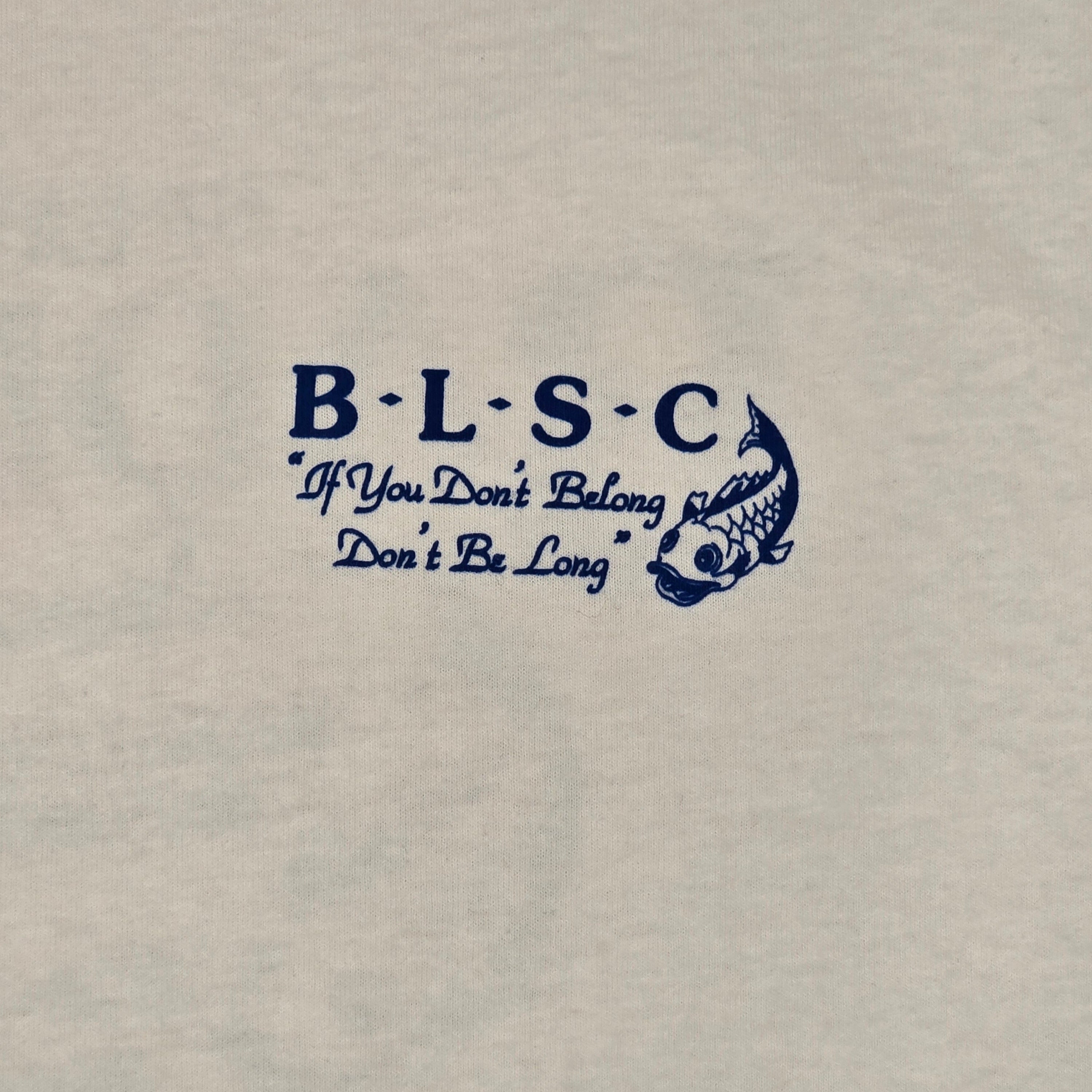 Badlands Great Atlantic t-shirt in white and blue · view 3 of 3