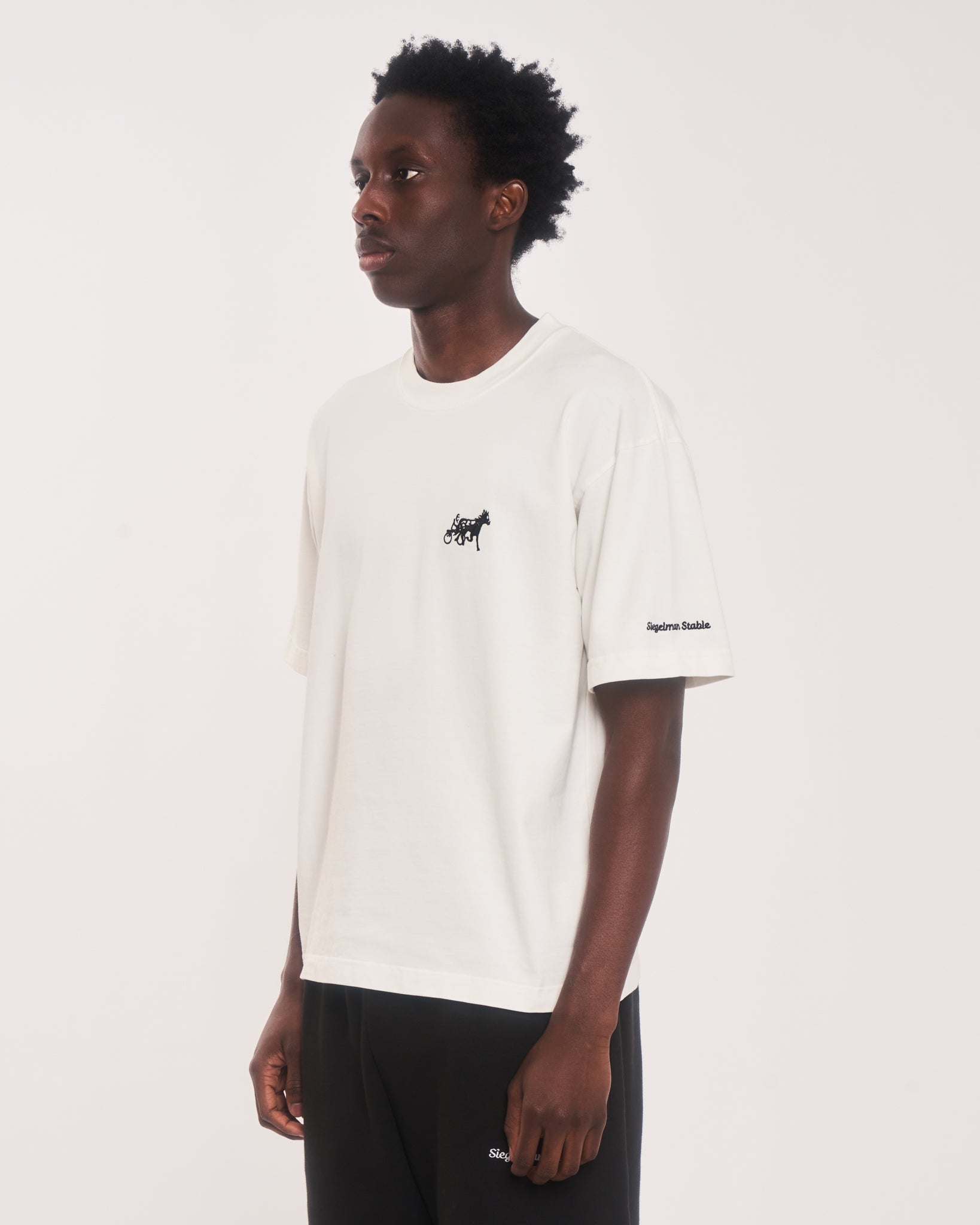 Siegelman Stable embroidered classic tee in white · view 3 of 3