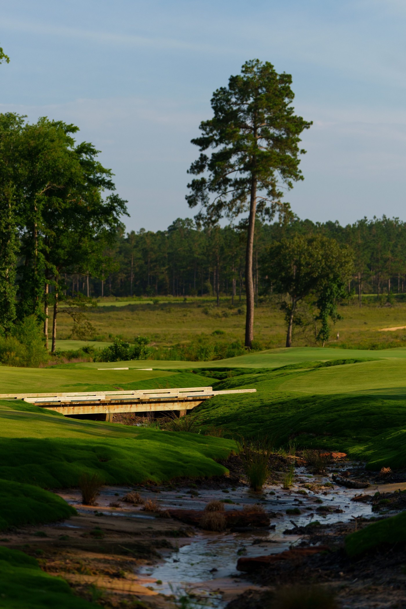 A spring-fed creek and one of the property’s bridges