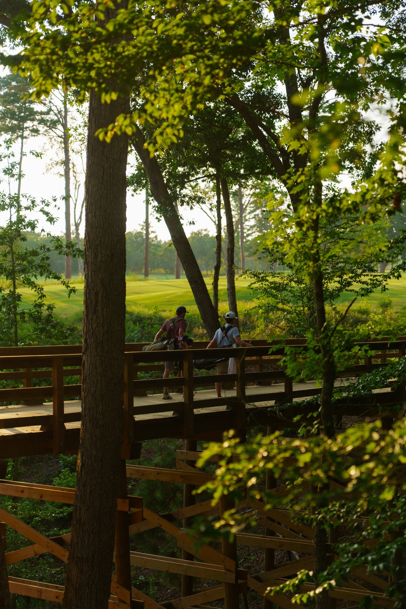 Golfers crossing a boardwalk through the pines