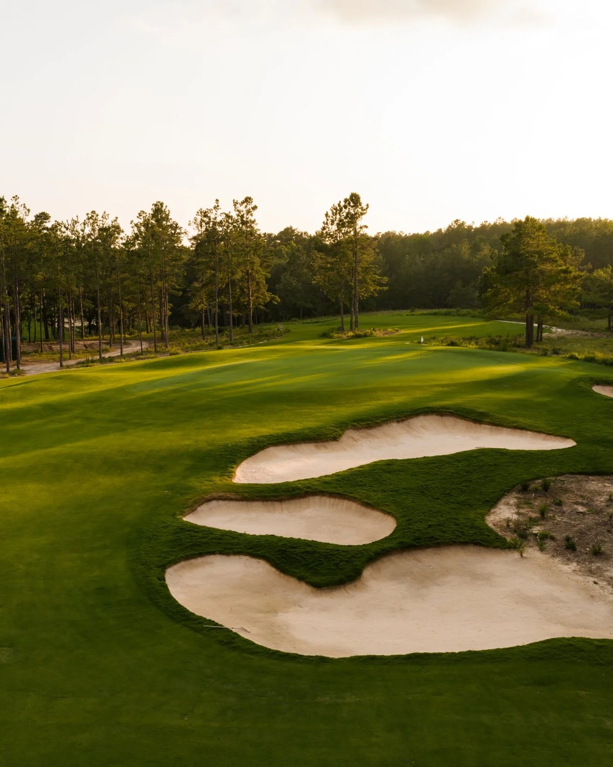 Wild Spring Dunes &mdash; Sandy bunkering, and a wall of East Texas pine