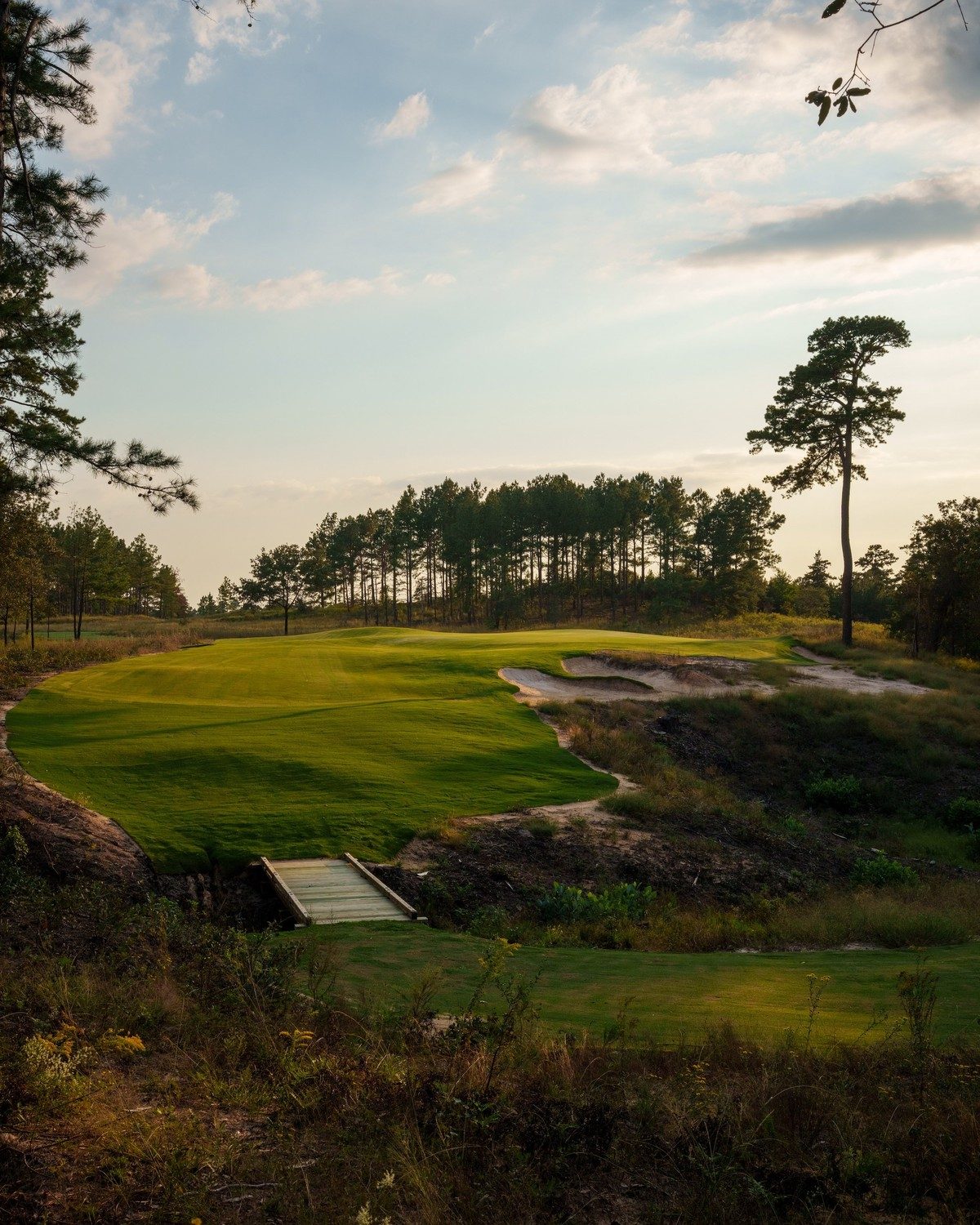 Wild Spring Dunes &mdash; A green above the ravine on the back nine